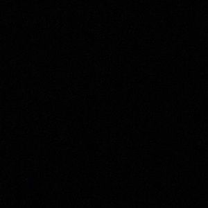 Meet your Posher, Deedee